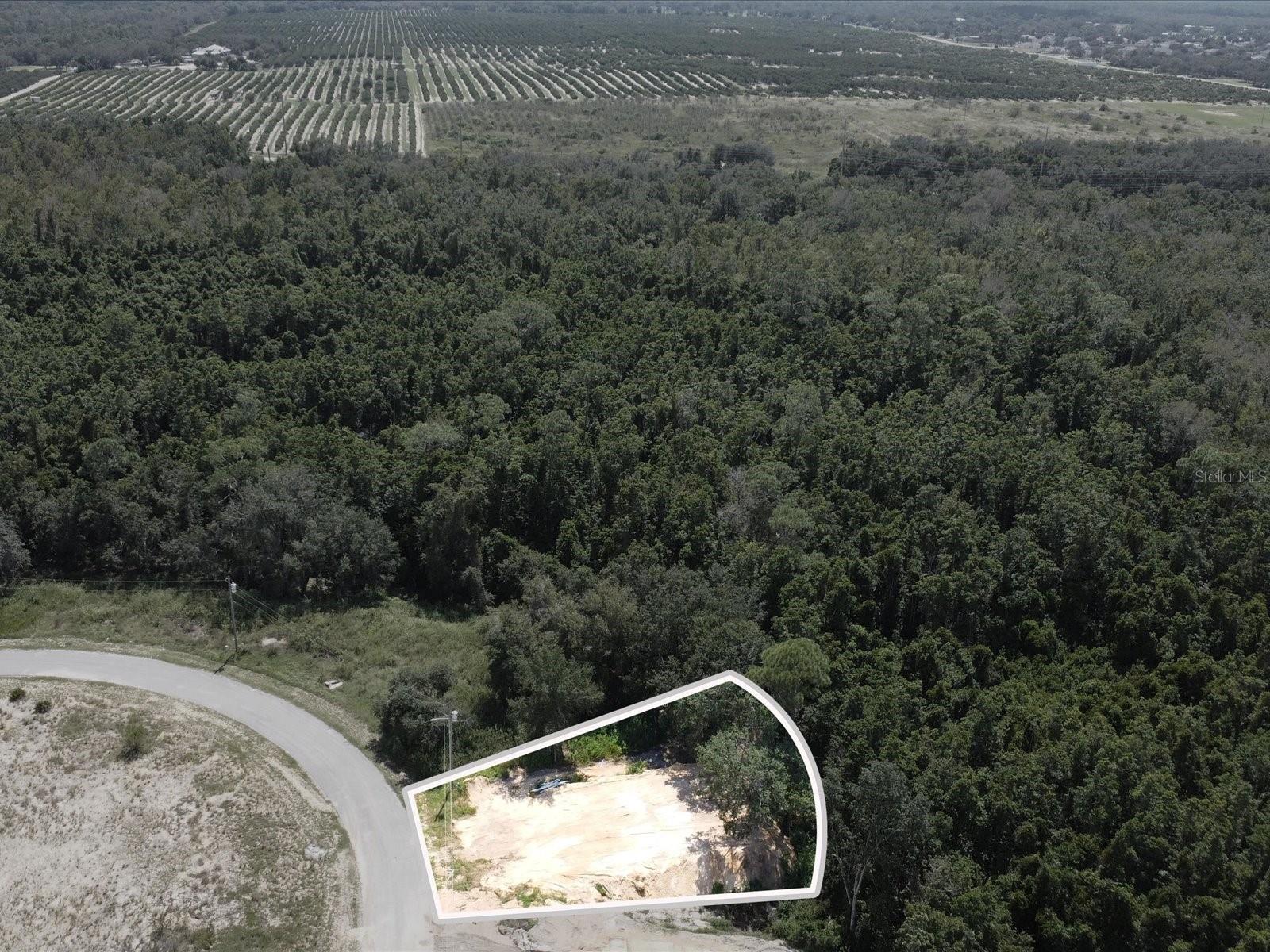 POINCIANA NBRHD 06 VILLAGE 07 - Land