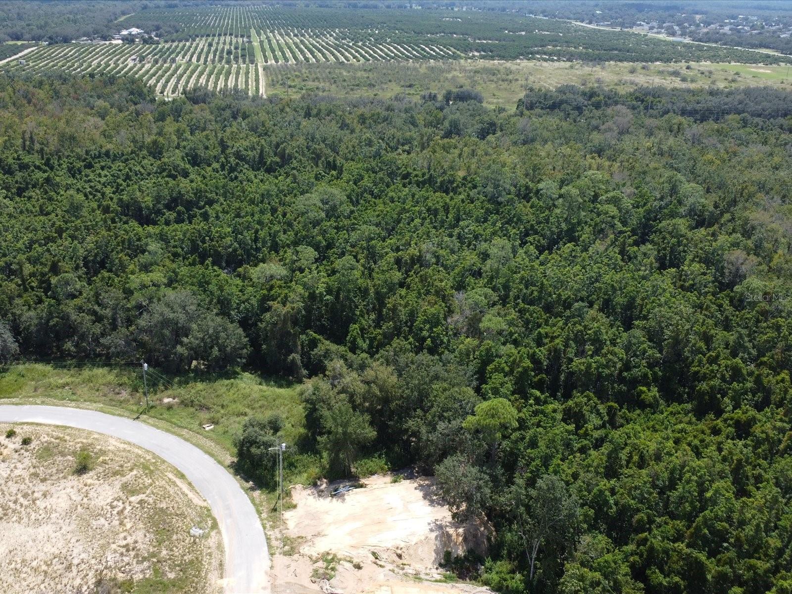 POINCIANA NBRHD 06 VILLAGE 07 - Land