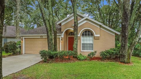 A home in TAMPA