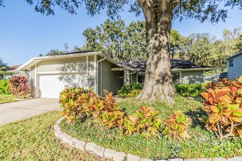 A home in TAMPA