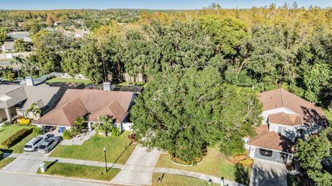 A home in TAMPA