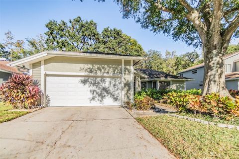 A home in TAMPA