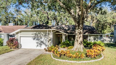 A home in TAMPA