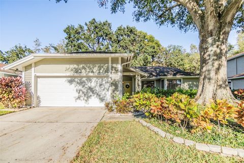 A home in TAMPA