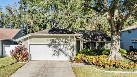 A home in TAMPA