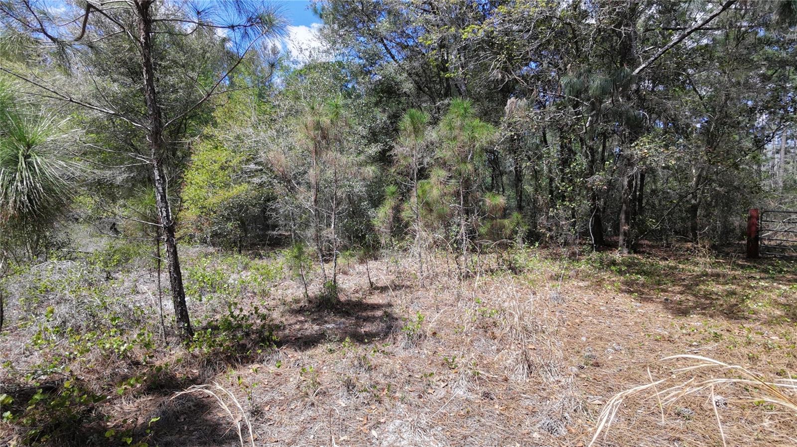 ACREAGE & UNREC - Land