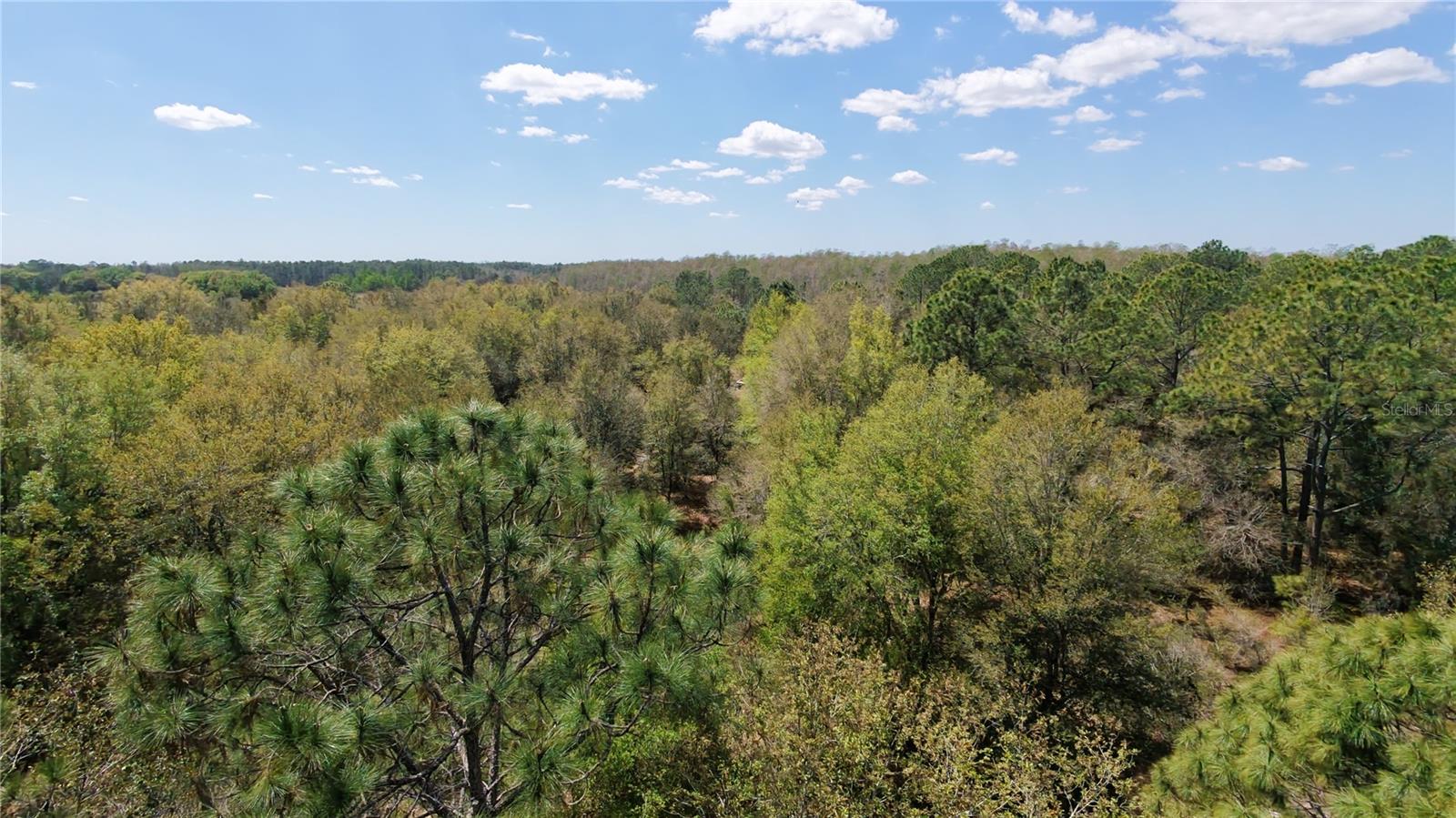 ACREAGE & UNREC - Land