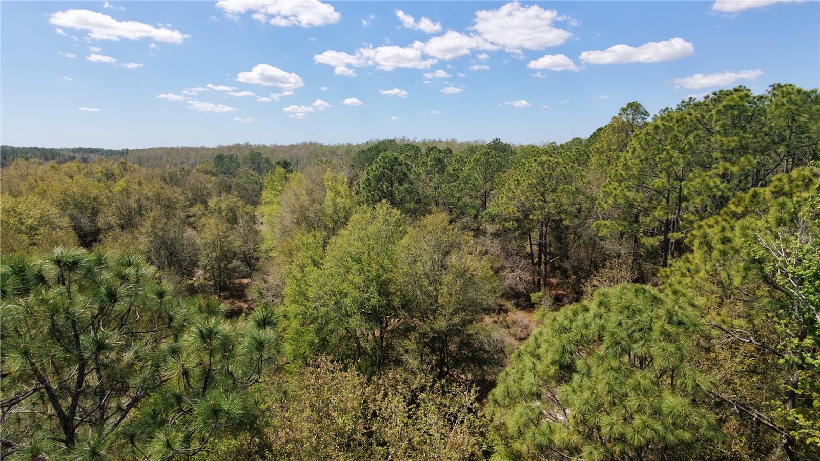 ACREAGE & UNREC - Land