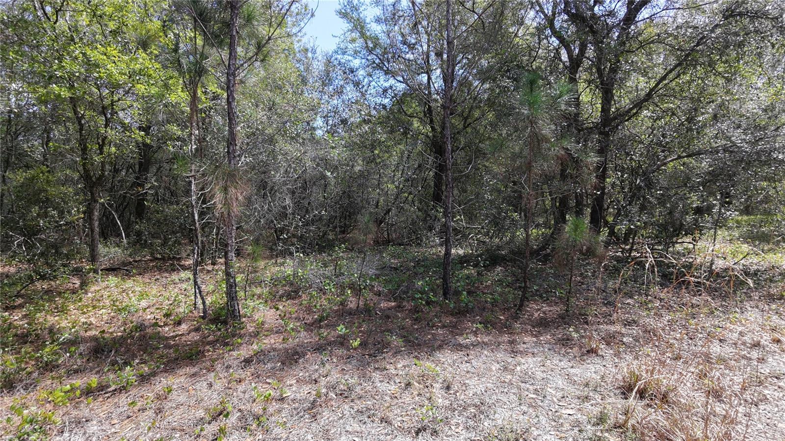 ACREAGE & UNREC - Land