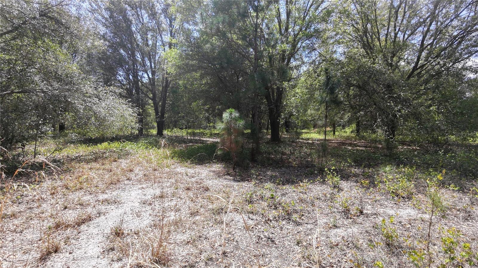 ACREAGE & UNREC - Land