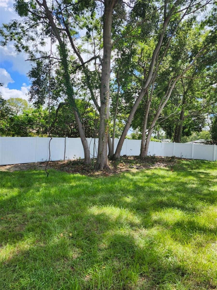 43 ALMOND ROAD