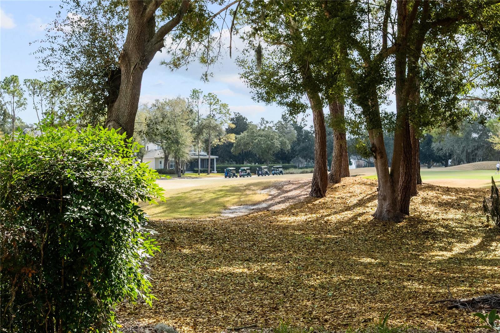 KEENES POINTE - Residential