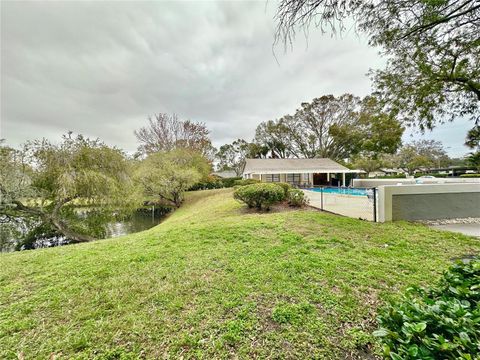 A home in DUNEDIN