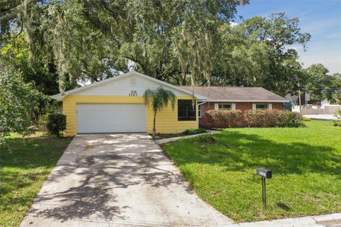 A home in BRANDON