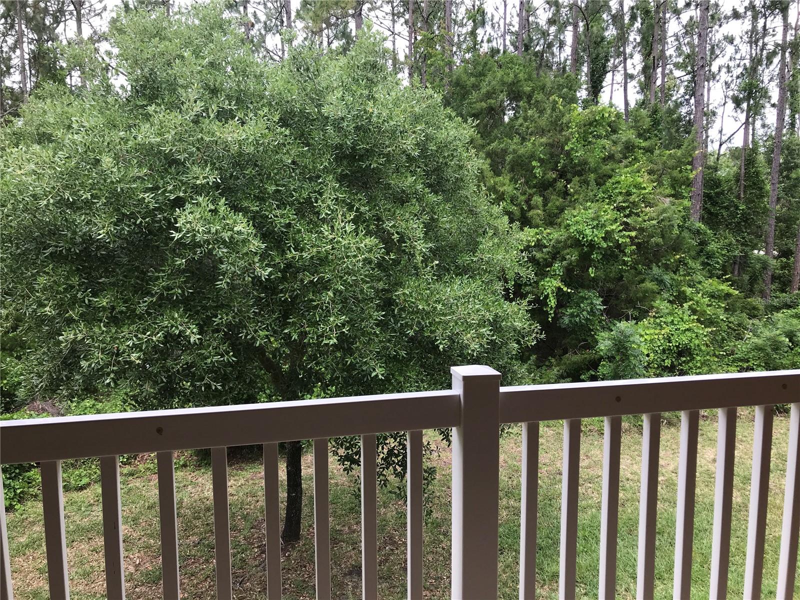 PALM POINTE I CONDO - Residential