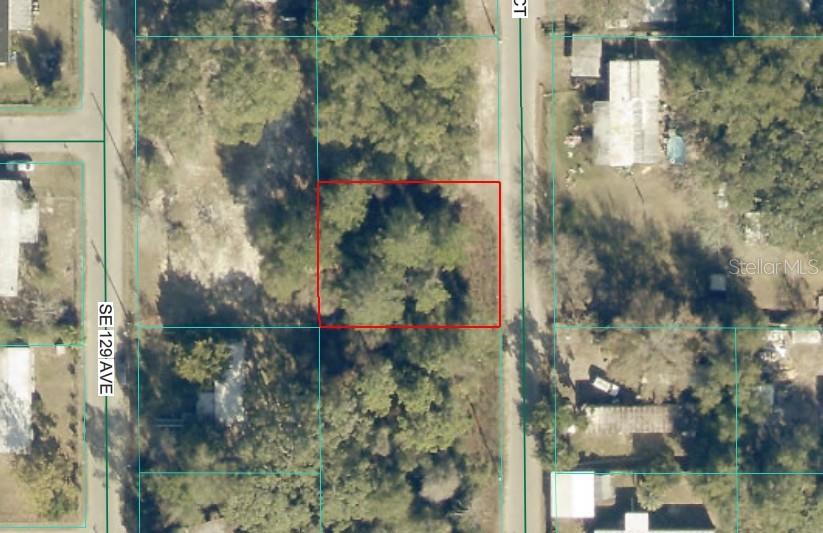 Photo of 78 SE 129th Court, Silver Springs, FL 34488 (MLS # OM735014)