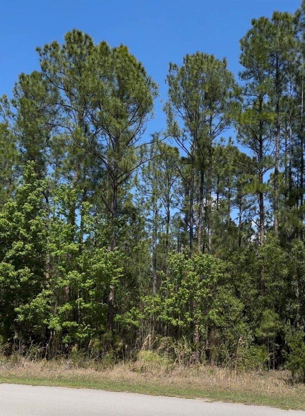 Photo of 510 Hidden Palms Drive, Davenport, FL 33897 (MLS # L4960427)