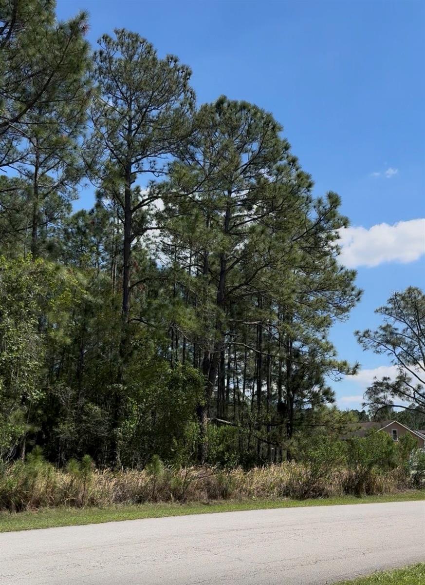 510 HIDDEN PALMS DRIVE