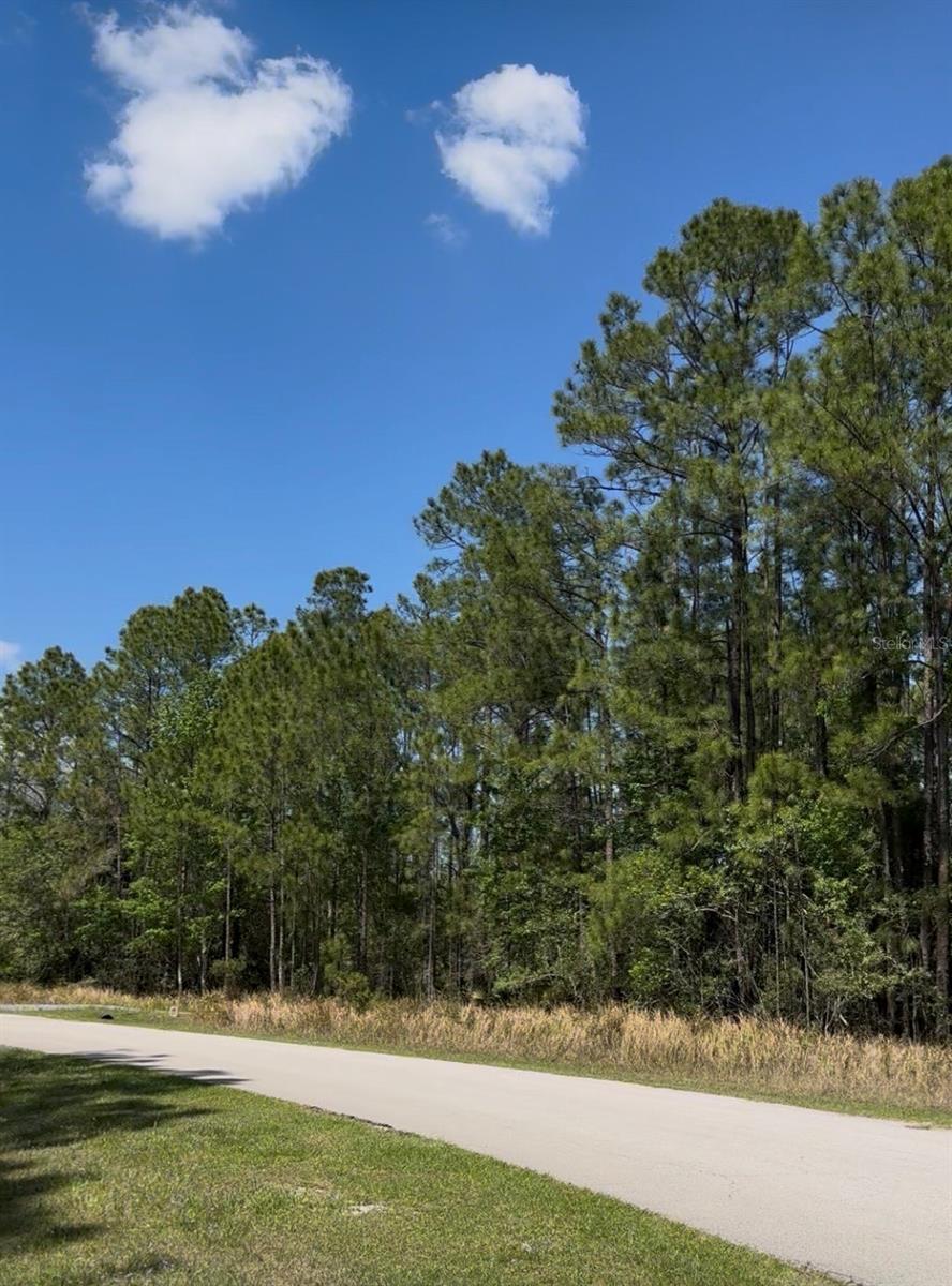 510 HIDDEN PALMS DRIVE