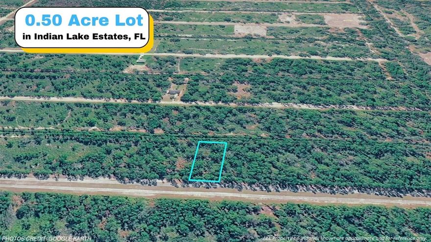 SELLER FINANCING AVAILABLE! Vacant residential lot located at Japonica Ave, Indian Lake Estates, FL 33855. Situated within a platted subdivision with road access and proximity to Hwy 60 for travel to surrounding areas. The property is located near Lake Weohyakapka and within the Indian Lake Estates community. Environmental survey available. Buyer to verify all property details including zoning, utilities, access, and future use.