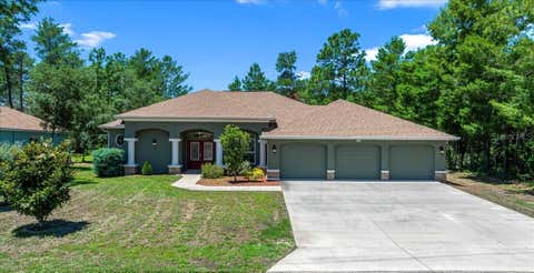 Photo of 5 Saintpaulia Street, Homosassa, FL 34446 (MLS # OM724634)