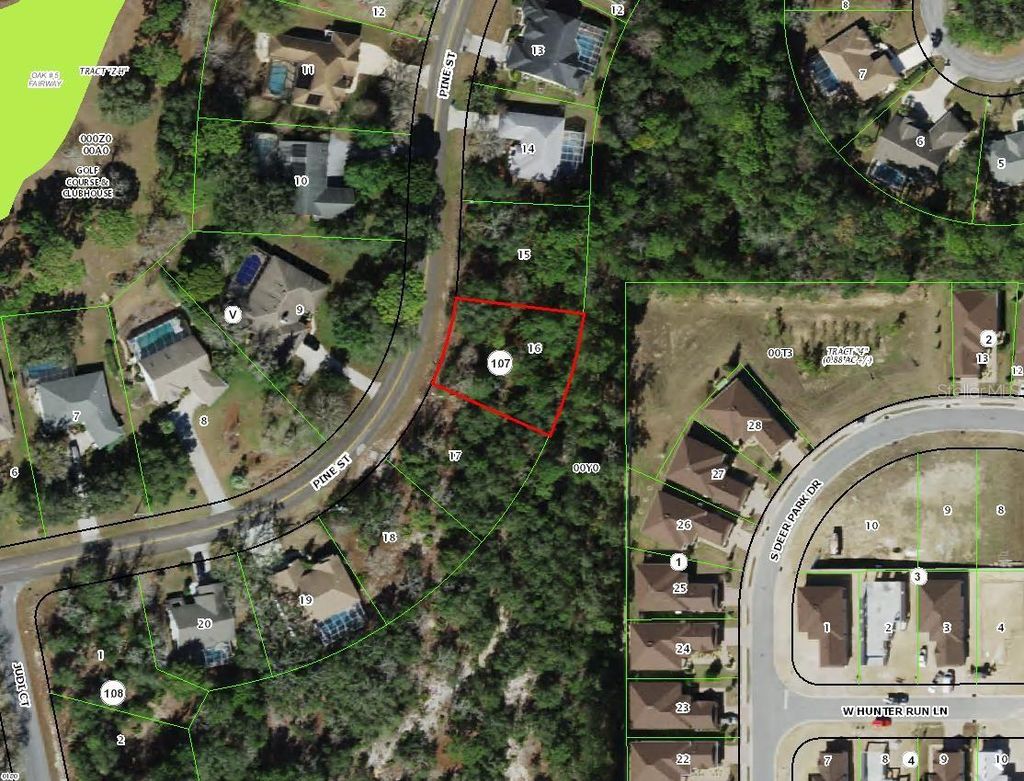 Photo of 151 Pine Street, Homosassa, FL 34446 (MLS # TB8468544)