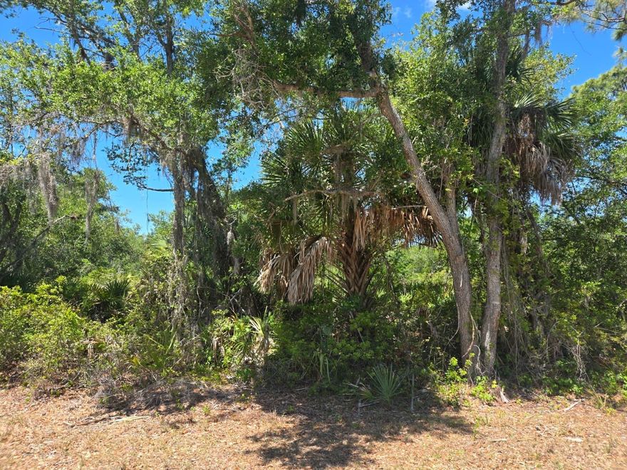 Build your dream home on this spacious vacant lot located in the growing community of Port Charlotte! Conveniently situated near shopping, dining, schools, parks, and beautiful Gulf Coast beaches. No HOA and plenty of room to create the perfect Florida lifestyle. Whether you’re looking to build now or invest for the future, this property offers endless potential in a rapidly developing area.