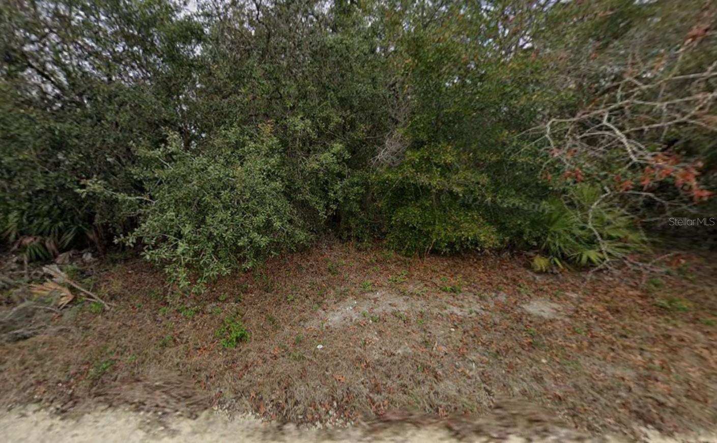 8343 NORMANDY DRIVE