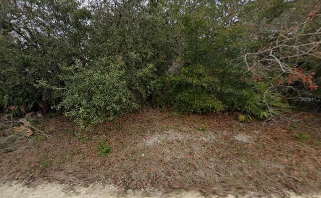 Photo of 8343 Normandy Drive, Weeki Wachee, FL 34613 (MLS # K4903824)