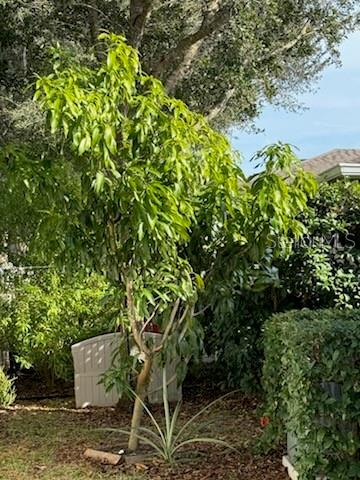 SULLIVAN RANCH REP SUB - Residential