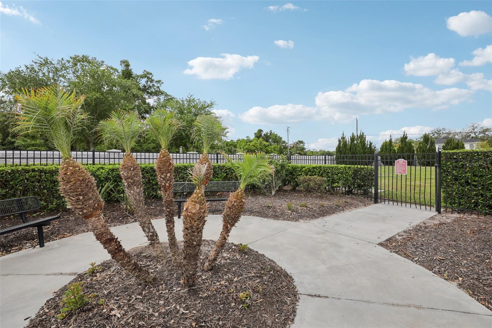 ESTUARY AT ST JOHNS - Residential
