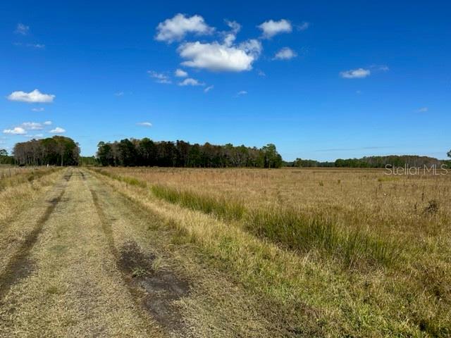 UNIVERSITY HIGHLANDS - Land