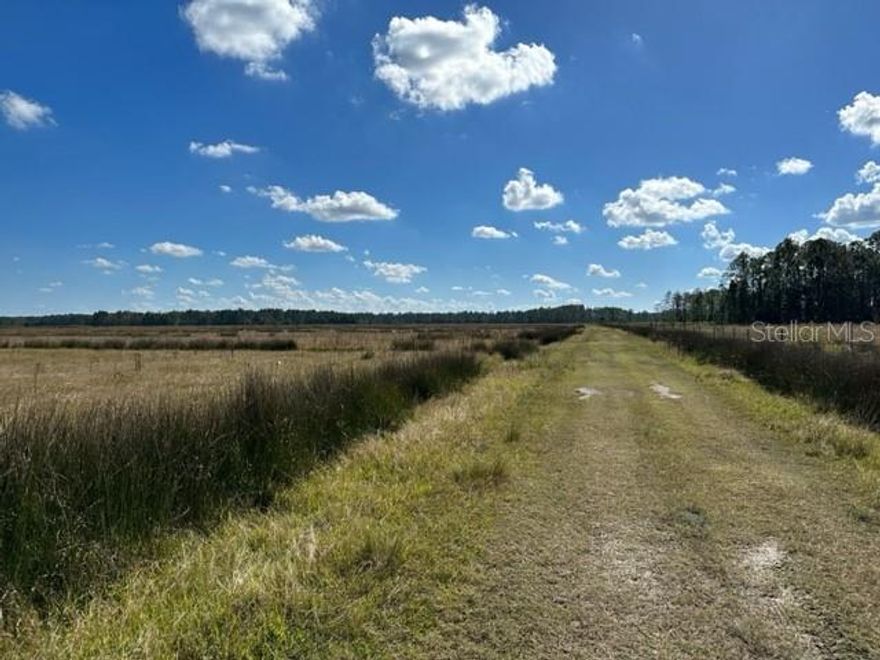 2.5 acres of undeveloped land located in North Deland