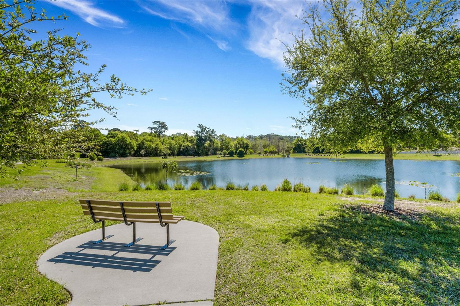 DEL WEBB ORLANDO/RIDGEWOOD LKS-PH 2 VILLAGE 14 - Residential