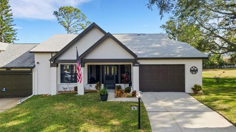 A home in PALM HARBOR