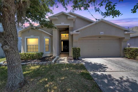 A home in LAND O LAKES