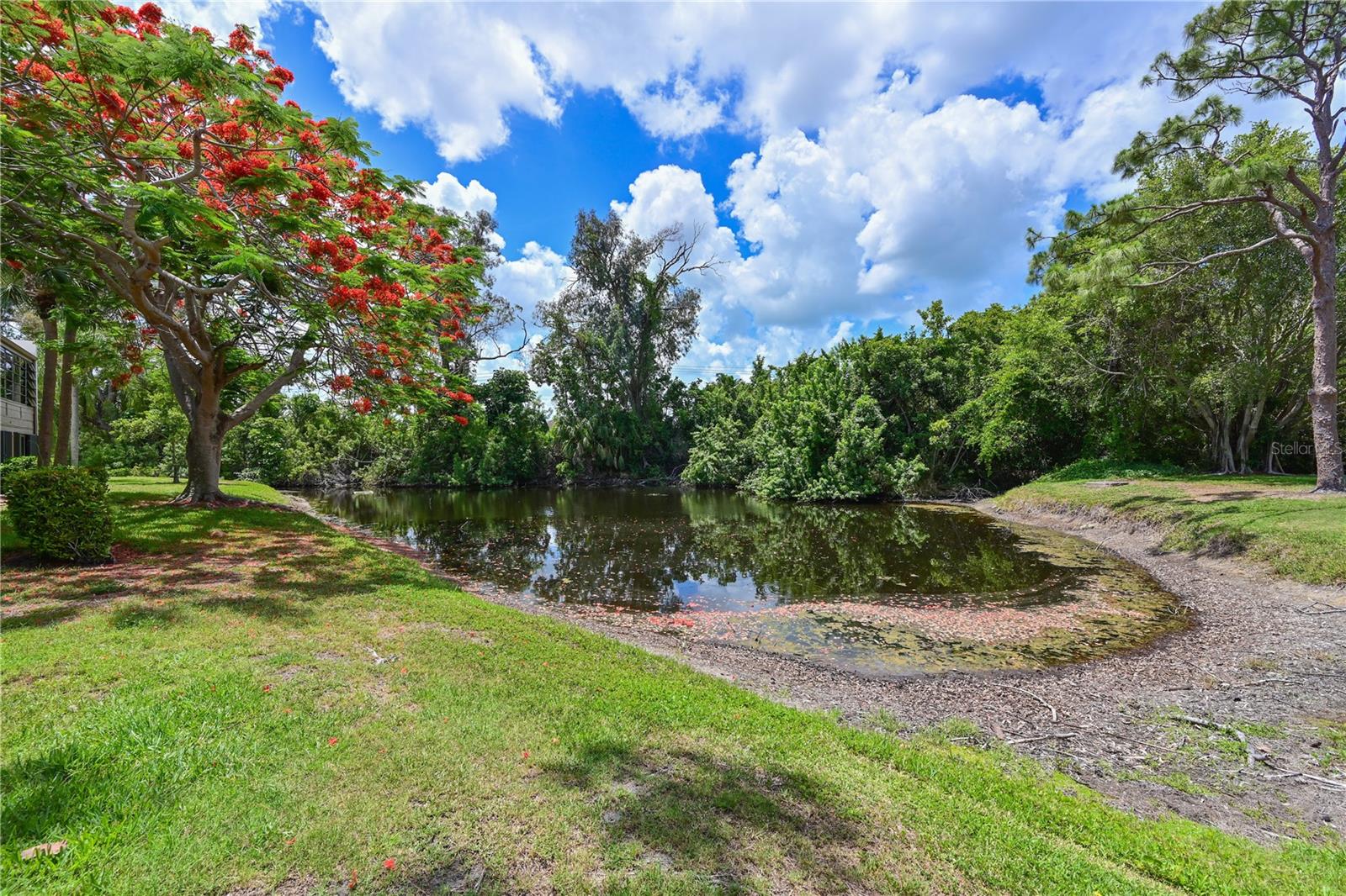 WILDEWOOD SPGS STAGE 6A OF WOODLAWN - Residential