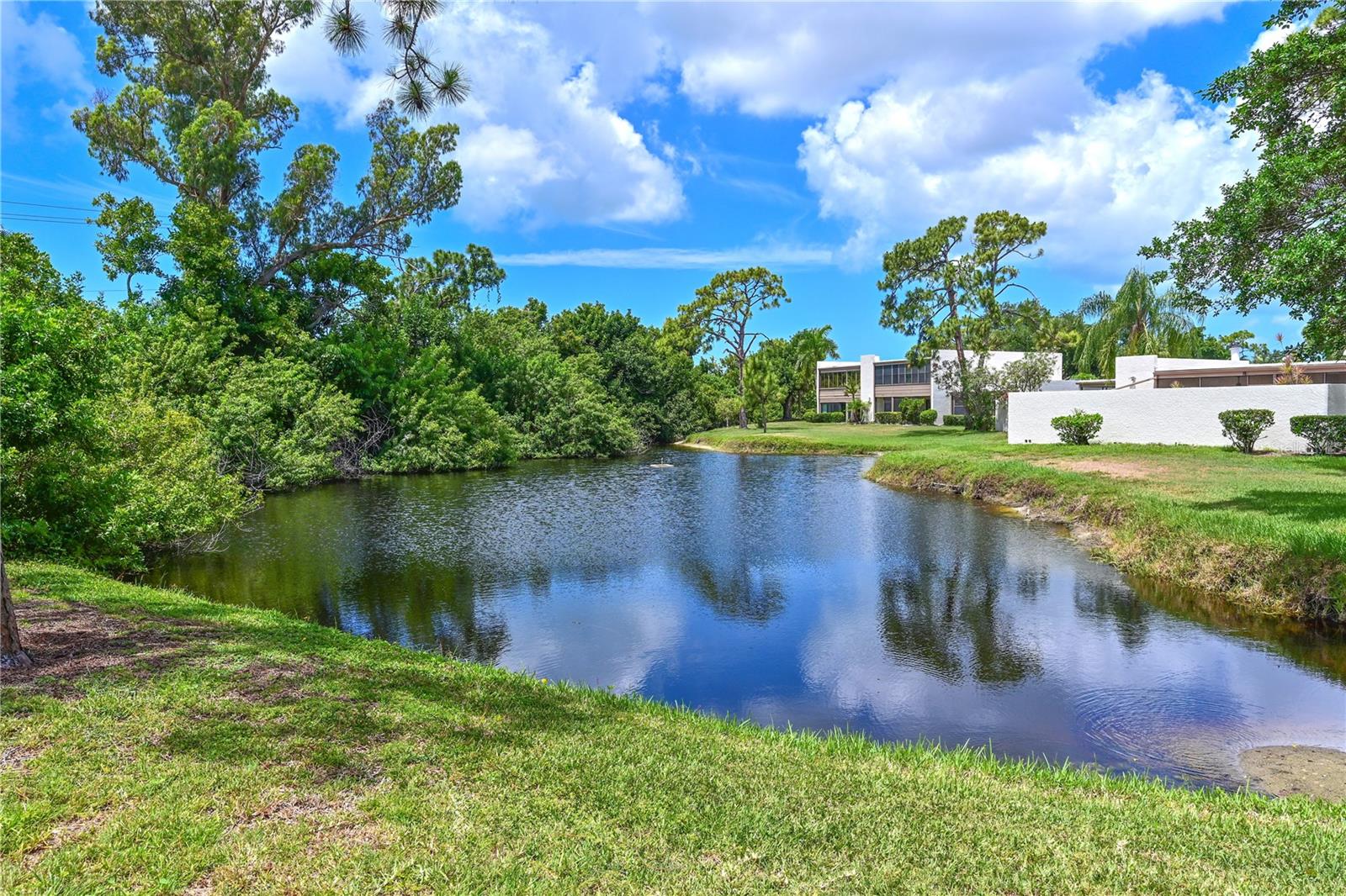 WILDEWOOD SPGS STAGE 6A OF WOODLAWN - Residential