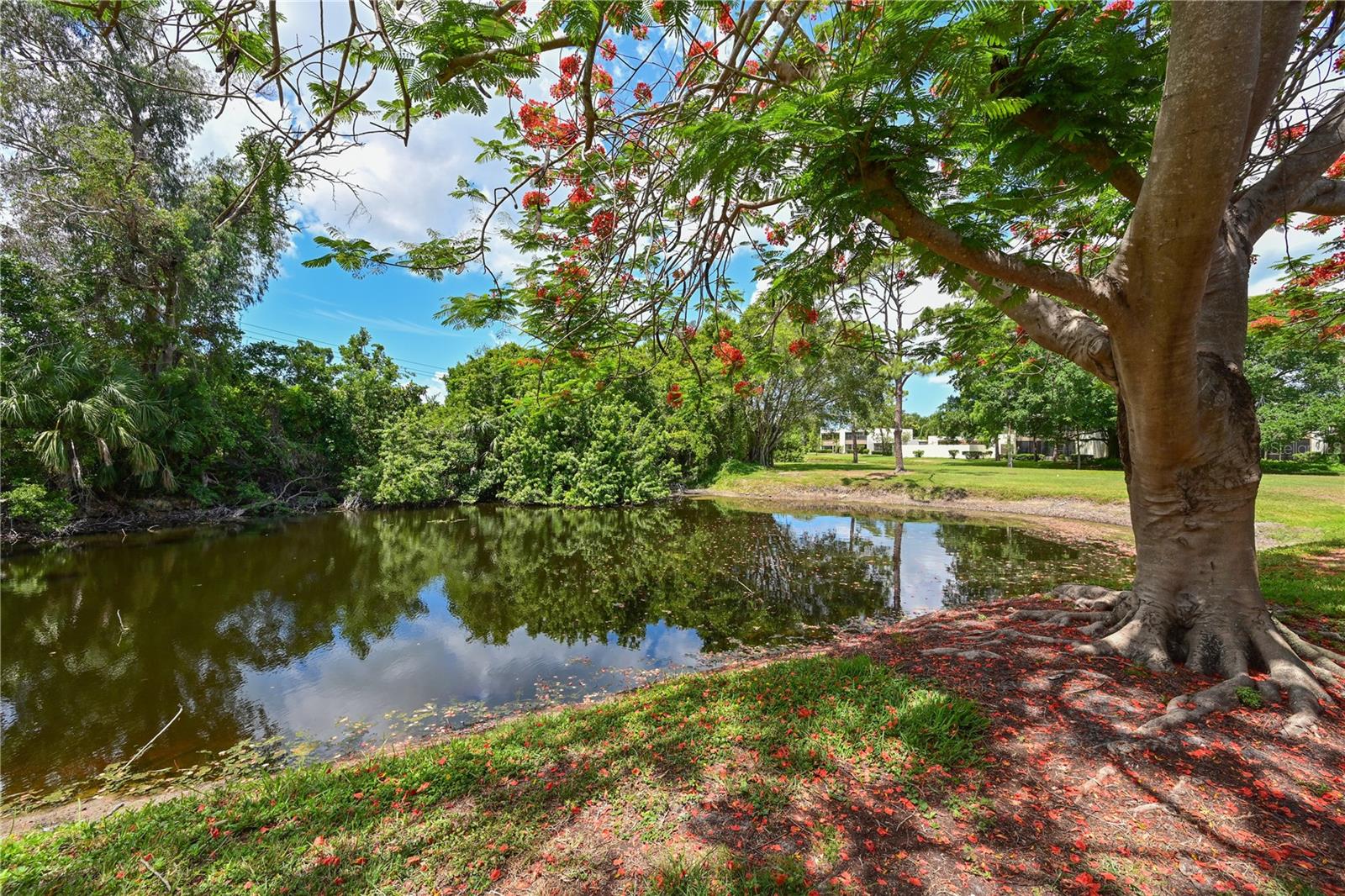 WILDEWOOD SPGS STAGE 6A OF WOODLAWN - Residential