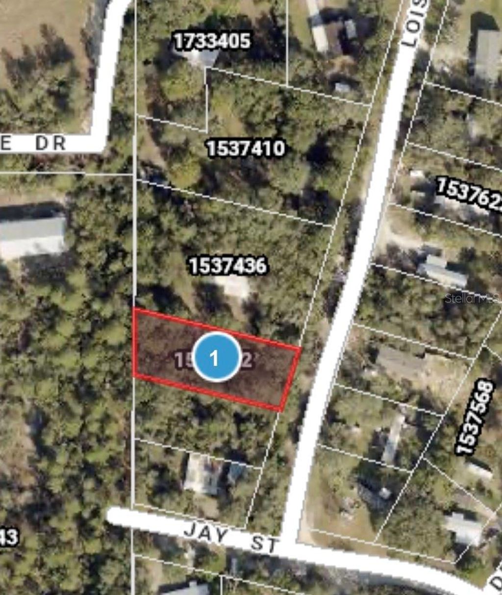 Photo of Lois Street, Eustis, FL 32736 (MLS # V4947373)