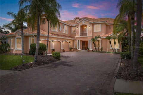 Photo of 10549 Cory Lake Drive, Tampa, FL 33647 (MLS # TB8403361)