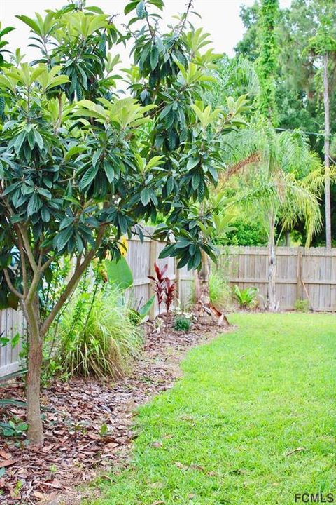 A home in PALM COAST