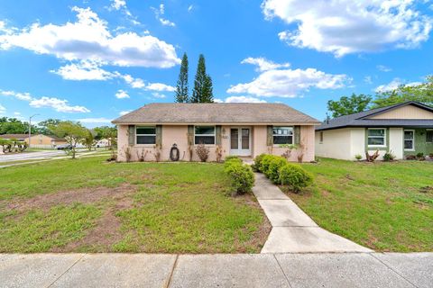 3029 CEDARIDGE DRIVE TAMPA FL 33618