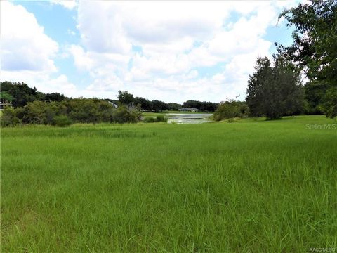Tiny photo for 9546 E Baymeadows Drive, Inverness, FL 34450 (MLS # OM725205)