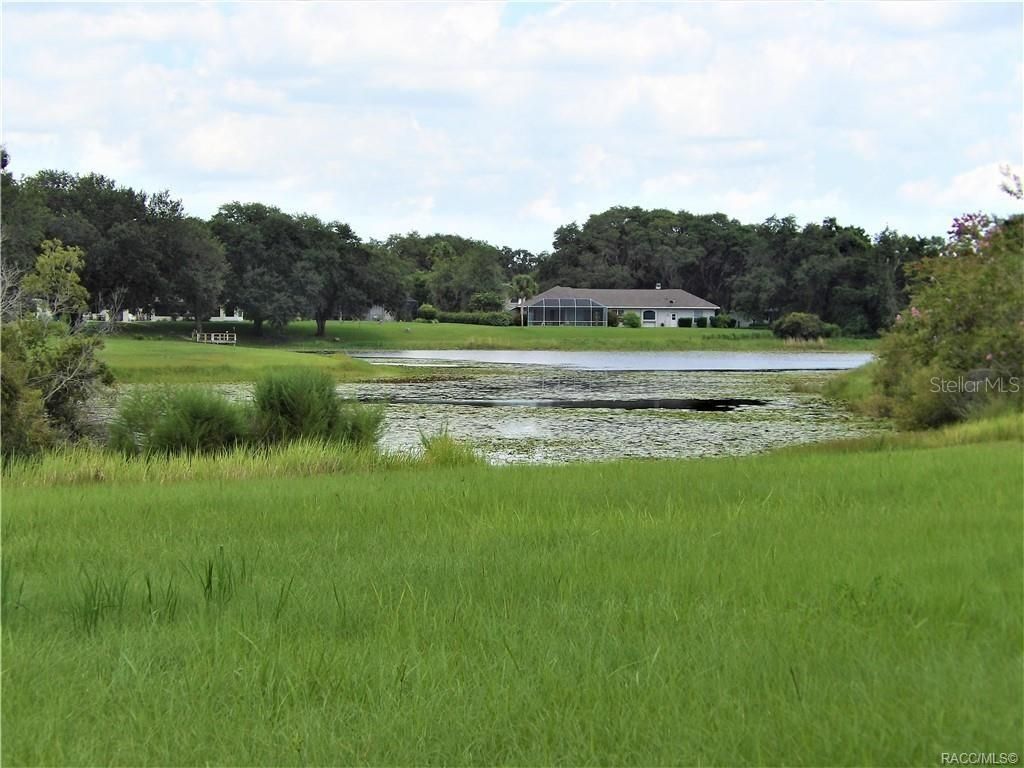 Photo of 9546 E Baymeadows Drive, Inverness, FL 34450 (MLS # OM725205)