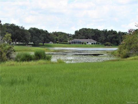 Tiny photo for 9546 E Baymeadows Drive, Inverness, FL 34450 (MLS # OM725205)