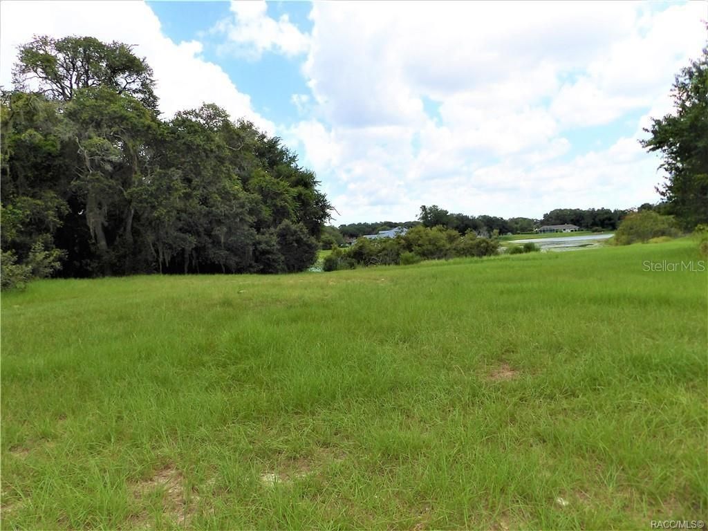 Photo of 9546 E Baymeadows Drive, Inverness, FL 34450 (MLS # OM725205)