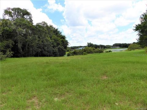 Photo of 9546 E Baymeadows Drive, Inverness, FL 34450 (MLS # OM725205)