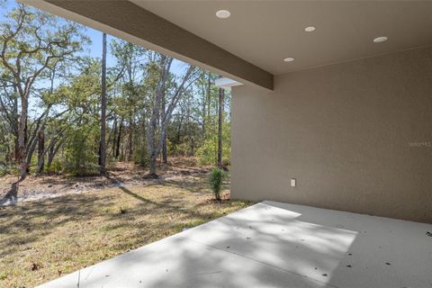 Tiny photo for 3618 W Birds Nest Drive, Beverly Hills, FL 34465 (MLS # W7879644)