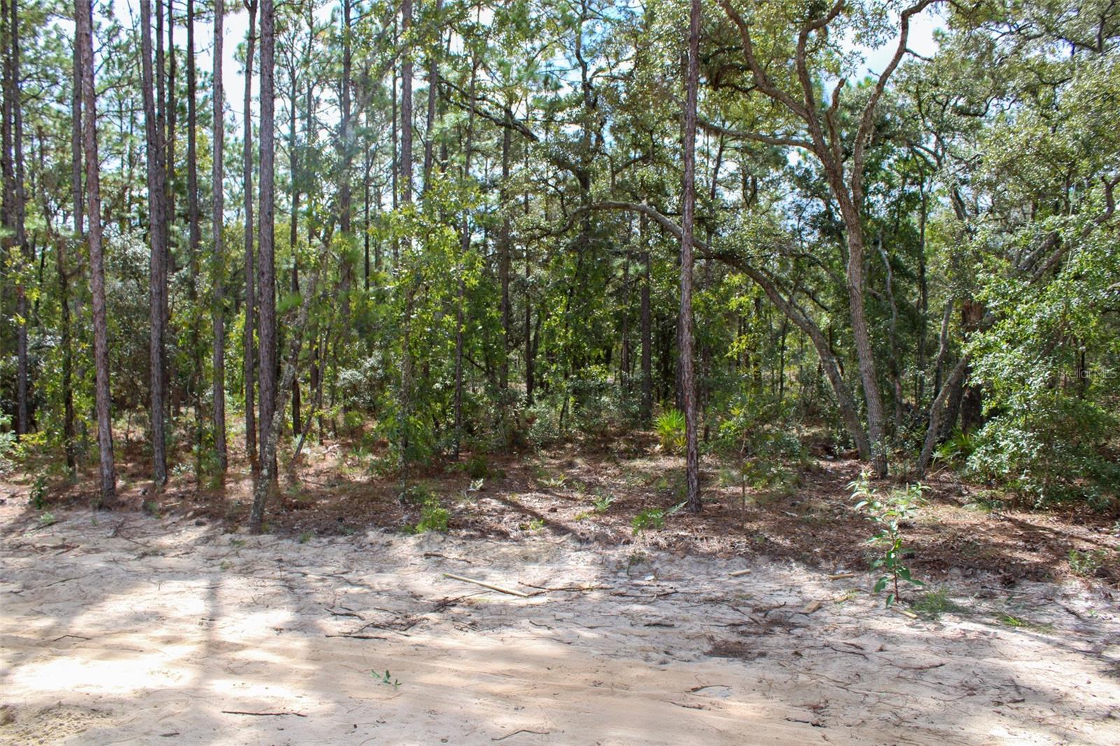 PINE RIDGE UNIT 03 - Residential